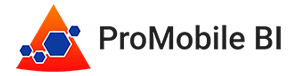ProMobileBI_Logo